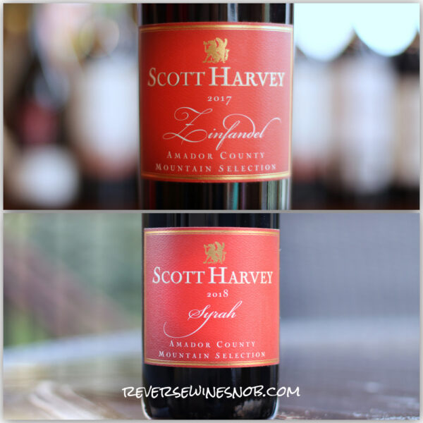 scott-harvey-mountain-selection-reds-square