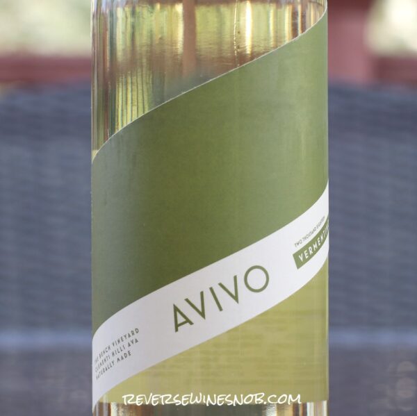 avivo-vermentino-square